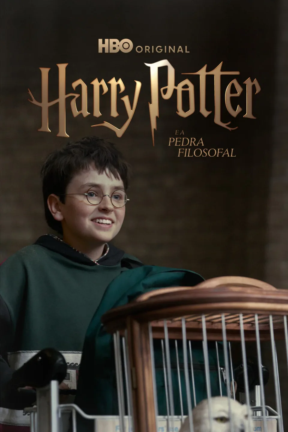 Capa da série Harry Potter